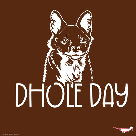 World Dhole Day illistration 